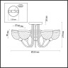 Потолочная люстра Lumion Alora 4461/5C - Потолочная люстра Lumion Alora 4461/5C
