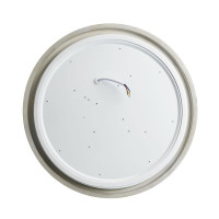  - Потолочный светодиодный светильник Feron Simple matte AL6200 48066