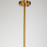 Подвесная люстра Favourite Nimbus 2996-10P - Подвесная люстра Favourite Nimbus 2996-10P