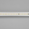 Лента IC 2-50000 48V White6000 12mm (2835, 144 LED/m, LUX) (Arlight, 5.8 Вт/м, IP20) - Лента IC 2-50000 48V White6000 12mm (2835, 144 LED/m, LUX) (Arlight, 5.8 Вт/м, IP20)