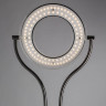 Торшер Arte Lamp Duetto Led A5904PN-2SS - Торшер Arte Lamp Duetto Led A5904PN-2SS