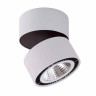 Потолочный светодиодный светильник Lightstar Forte Muro 214859 - Потолочный светодиодный светильник Lightstar Forte Muro 214859