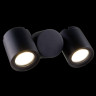 Настенный светильник (бра) Outdoor O010WL-02B - Настенный светильник (бра) Outdoor O010WL-02B