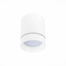 Накладной светильник ST Luce ST115.532.12 - Накладной светильник ST Luce ST115.532.12