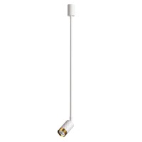  - Подвесной светильник Odeon Light Ad Astrum 4350/1C