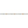 Лента RT 2-5000 12V Warm3000 (2835, 300 LED, PRO) (Arlight, 7.2 Вт/м, IP20) - Лента RT 2-5000 12V Warm3000 (2835, 300 LED, PRO) (Arlight, 7.2 Вт/м, IP20)