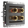 Акустическая розетка Werkel х4 графит рифленый WL04-AUDIOx4 4690389145896 - Акустическая розетка Werkel х4 графит рифленый WL04-AUDIOx4 4690389145896
