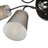 Потолочная люстра Freya Odri FR5030CL-03B - Потолочная люстра Freya Odri FR5030CL-03B