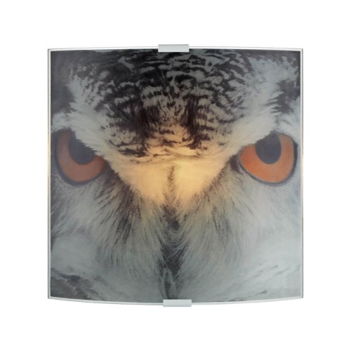 Настенный светильник Markslojd Owl 105242 
