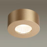 Потолочный светодиодный светильник Odeon Light Bene 4284/7CL - Потолочный светодиодный светильник Odeon Light Bene 4284/7CL