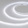Лента RT-A160-5mm 24V White6000 (9.6 W/m, IP20, 2835, 5m) (Arlight, Открытый) - Лента RT-A160-5mm 24V White6000 (9.6 W/m, IP20, 2835, 5m) (Arlight, Открытый)