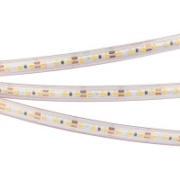  - Лента RTW 2-5000PS 12V Warm3000 2x (3528, 600 LED, LUX) (Arlight, 9.6 Вт/м, IP67)