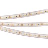 Лента RTW 2-5000PS 12V Warm3000 2x (3528, 600 LED, LUX) (Arlight, 9.6 Вт/м, IP67) - Лента RTW 2-5000PS 12V Warm3000 2x (3528, 600 LED, LUX) (Arlight, 9.6 Вт/м, IP67)