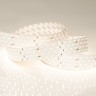 Лента RT 2-2500 24V Warm2700 4x2 (2835, 700 LED, CRI98) (Arlight, 30 Вт/м, IP20) - Лента RT 2-2500 24V Warm2700 4x2 (2835, 700 LED, CRI98) (Arlight, 30 Вт/м, IP20)