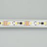 Лента SPI-5000-AM 12V White6000 (5060, 60 LED/m, x3) (Arlight, Открытый, IP20) - Лента SPI-5000-AM 12V White6000 (5060, 60 LED/m, x3) (Arlight, Открытый, IP20)