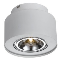 - Потолочный светильник Arte Lamp Cliff A5643PL-1WH