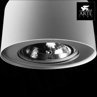  - Потолочный светильник Arte Lamp Cliff A5643PL-1WH