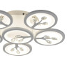 Потолочная светодиодная люстра F-Promo Ramus 2390-6U - Потолочная светодиодная люстра F-Promo Ramus 2390-6U