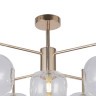 Потолочная люстра F-Promo Beaker 2976-6P - Потолочная люстра F-Promo Beaker 2976-6P