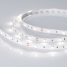 Лента RT 2-5000 12V Day4000 (5060, 150 LED, LUX) (Arlight, 7.2 Вт/м, IP20) - Лента RT 2-5000 12V Day4000 (5060, 150 LED, LUX) (Arlight, 7.2 Вт/м, IP20)