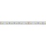 Лента ULTRA-5000 24V White6000 2xH (5630, 300 LED, LUX) (Arlight, 27 Вт/м, IP20) - Лента ULTRA-5000 24V White6000 2xH (5630, 300 LED, LUX) (Arlight, 27 Вт/м, IP20)