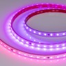 Лента герметичная SPI-PFS-B60-12mm 24V RGB-PX6-BPT (12 W/m, IP68, 5060, 5m) (Arlight, бегущий огонь) - Лента герметичная SPI-PFS-B60-12mm 24V RGB-PX6-BPT (12 W/m, IP68, 5060, 5m) (Arlight, бегущий огонь)