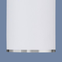  - Потолочный светильник Elektrostandard DLN101 GU10 WH белый 4690389135859