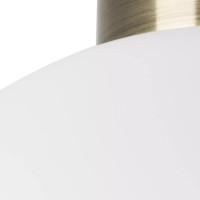  - Настенно-потолочный светильник Lightstar Globo 812031
