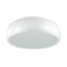 Потолочный светильник Lumion Timo 4413/3C - Потолочный светильник Lumion Timo 4413/3C