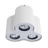 Потолочный светильник Arte Lamp Falcon A5633PL-3WH - Потолочный светильник Arte Lamp Falcon A5633PL-3WH