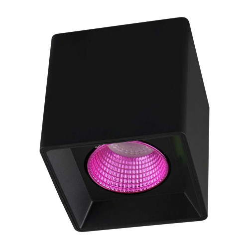 Потолочный светильник Denkirs DK3020BPI DK3080-BK+PI 
