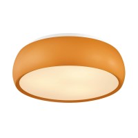  - Потолочный светильник Lumion Timo 4414/3C