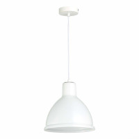  - Подвесной светильник Evoluce Bacchi SLE114703-01