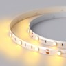 Лента RTW 2-5000SE 12V Yellow (5060, 150 LED, LUX) (Arlight, 7.2 Вт/м, IP65) - Лента RTW 2-5000SE 12V Yellow (5060, 150 LED, LUX) (Arlight, 7.2 Вт/м, IP65)
