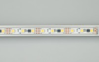  - Лента SPI-5000P-AM 12V Warm3000 (5060, 60 LED/m, x3) (Arlight, Закрытый, IP66)