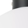 Настенно-потолочный светильник Lightstar Globo 812037 - Настенно-потолочный светильник Lightstar Globo 812037