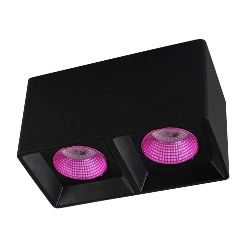 Потолочный светильник Denkirs DK3020BPI DK3085-BK+PI 