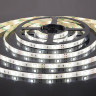 Светодиодная влагозащищенная лента Elektrostandard 7,2W/m 30LED/m 5050SMD белый 5M 4690389038440 - Светодиодная влагозащищенная лента Elektrostandard 7,2W/m 30LED/m 5050SMD белый 5M 4690389038440