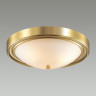 Настенно-потолочный светильник Lumion Nina 5259/3C - Настенно-потолочный светильник Lumion Nina 5259/3C