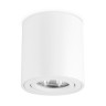 Потолочный светильник Ambrella light Techno Spot TN22701 - Потолочный светильник Ambrella light Techno Spot TN22701