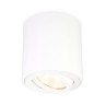 Потолочный светильник Ambrella light Techno Spot TN22701 - Потолочный светильник Ambrella light Techno Spot TN22701