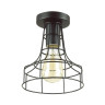 Потолочный светильник Lumion Alfred 3639/1C - Потолочный светильник Lumion Alfred 3639/1C