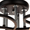 Потолочная люстра Arte Lamp Krit A4505PL-5BK - Потолочная люстра Arte Lamp Krit A4505PL-5BK
