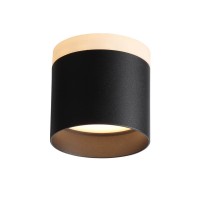  - Потолочный светодиодный светильник ST Luce Panaggio ST102.402.09