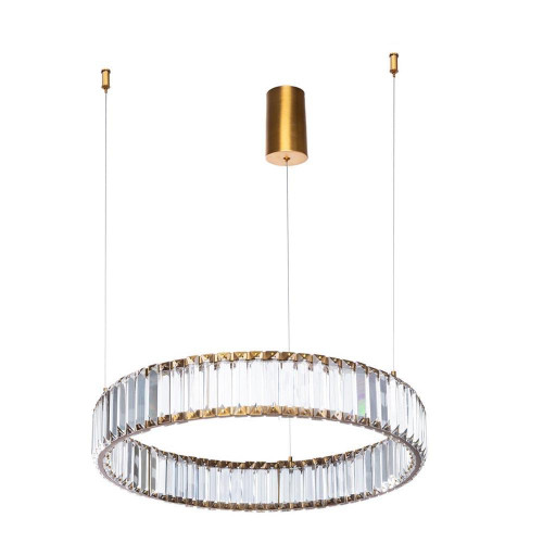 Подвесной светодиодный светильник Divinare Renata 1135/17 SP-25 