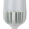 Лампа светодиодная сверхмощная ЭРА E27/E40 120W 6500K матовая LED POWER T160-120W-6500-E27/E40 Б0051794 - Лампа светодиодная сверхмощная ЭРА E27/E40 120W 6500K матовая LED POWER T160-120W-6500-E27/E40 Б0051794