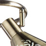 Спот Arte Lamp Cono A5218PL-3AB - Спот Arte Lamp Cono A5218PL-3AB