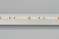 - Лента MICROLED-5000 24V White-CDW 4.5mm (2216, 240 LED/m, Bipolar) (Arlight, 9.6 Вт/м, IP20)