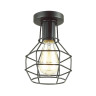 Потолочный светильник Lumion Harald 3637/1C - Потолочный светильник Lumion Harald 3637/1C