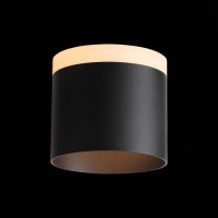  - Потолочный светодиодный светильник ST Luce Panaggio ST102.402.12